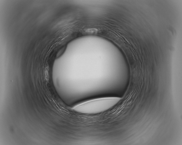 X0000112061394200908041001