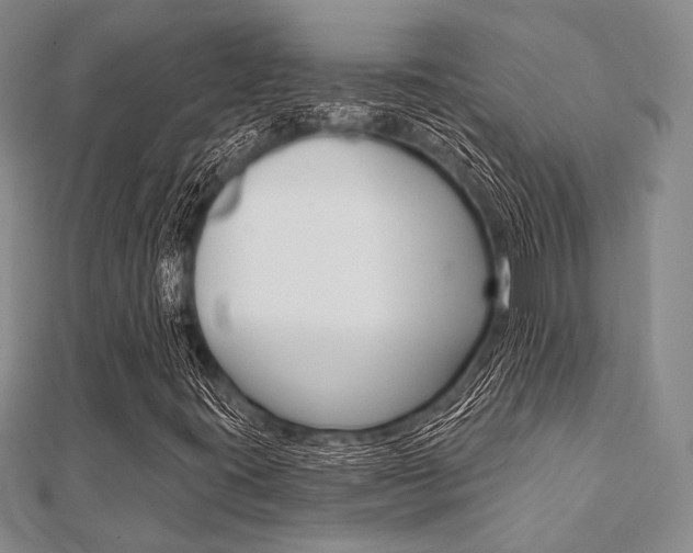 X0000112061395200908041001