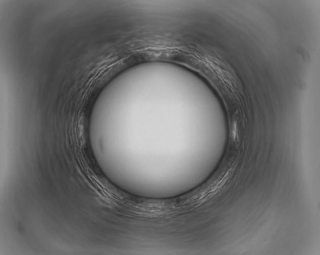 X0000112061396200908041001