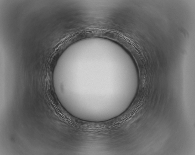 X0000112061397200908041001