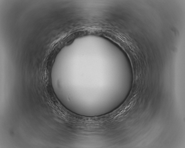 X0000112061398200908041001