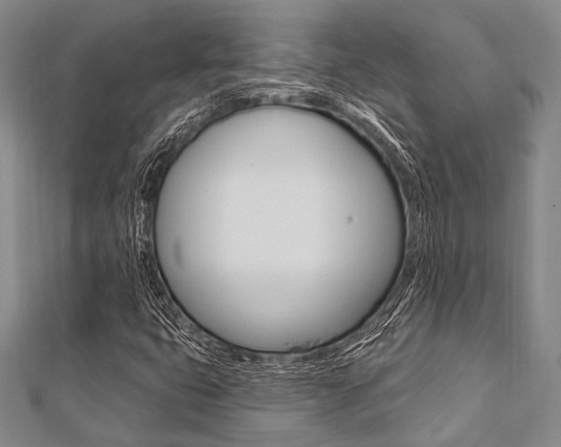 X0000112061399200908041001