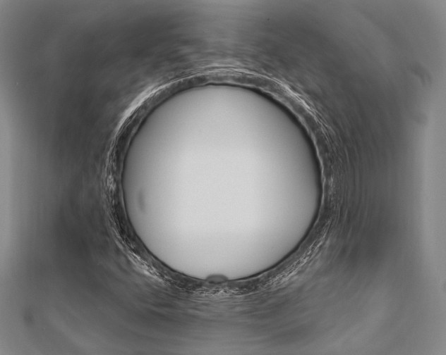 X0000112061400200908041001