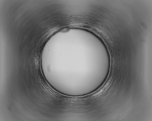 X0000112061401200908041001