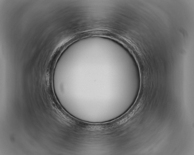 X0000112061402200908041001