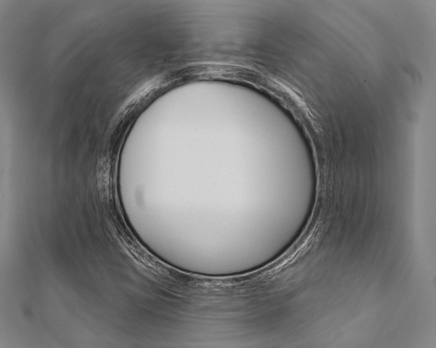 X0000112061403200908041001