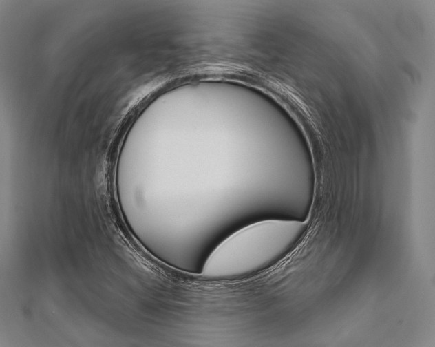 X0000112061404200908041001