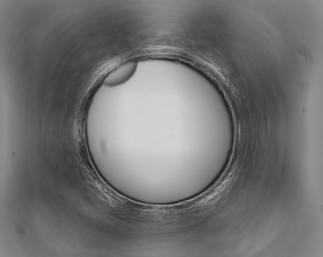 X0000112061405200908041001