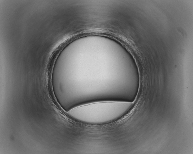 X0000112061406200908041001