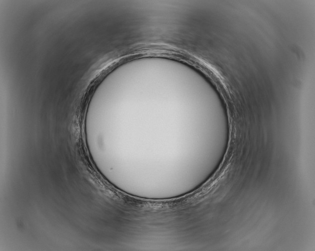 X0000112061407200908041001