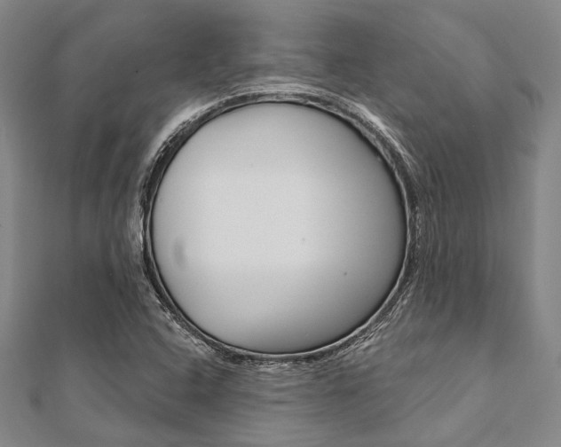 X0000112061408200908041001