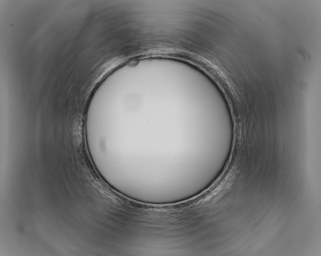 X0000112061409200908041001