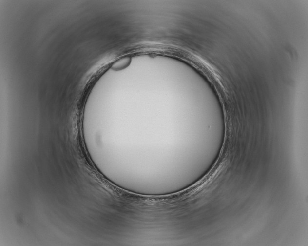 X0000112061411200908041001