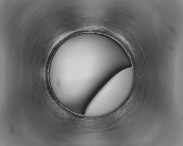 X0000112061412200908041001