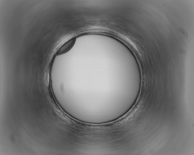 X0000112061413200908041001