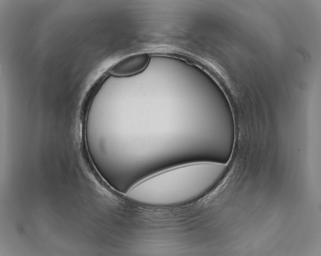 X0000112061414200908041001