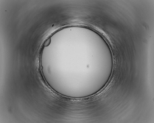 X0000112061415200908041001