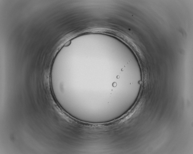 X0000112061417200908041001