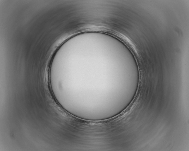 X0000112061419200908041001