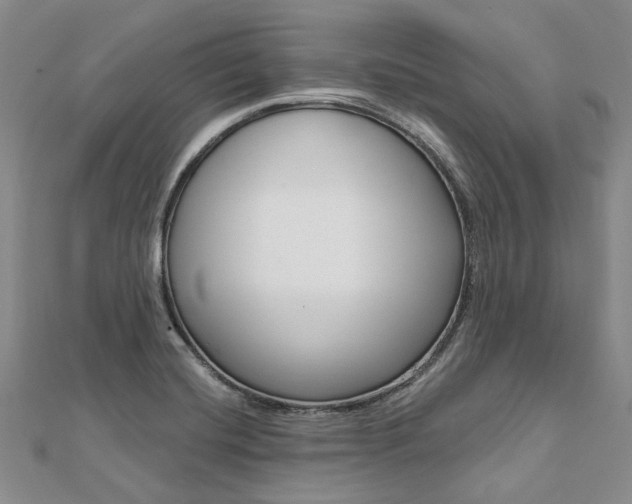 X0000112061420200908041001
