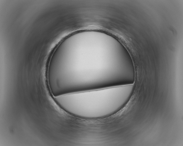 X0000112061422200908041001