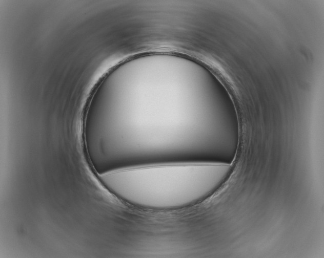 X0000112061424200908041001