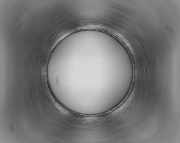 X0000112061425200908041001