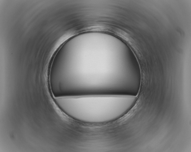 X0000112061426200908041001