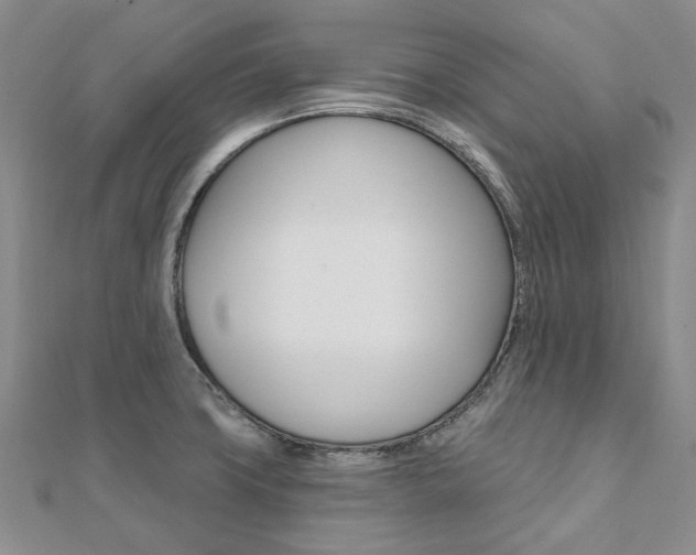 X0000112061427200908041001