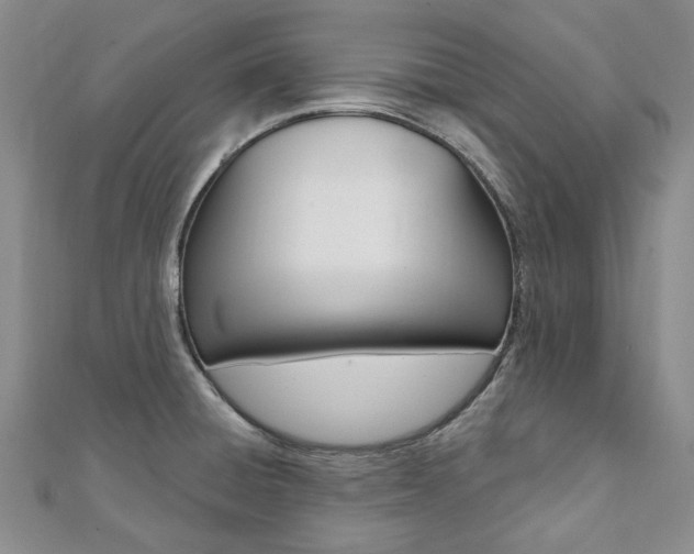 X0000112061428200908041001