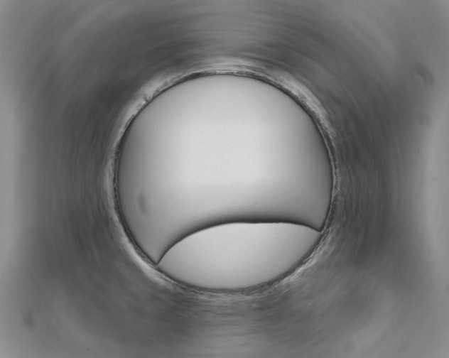 X0000112061429200908041001