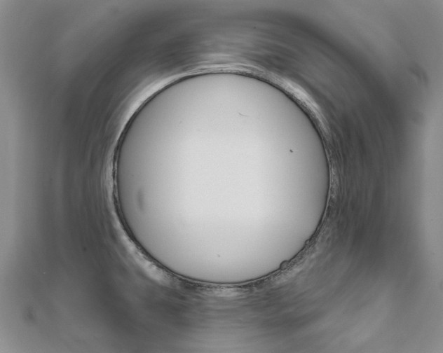 X0000112061431200908041001