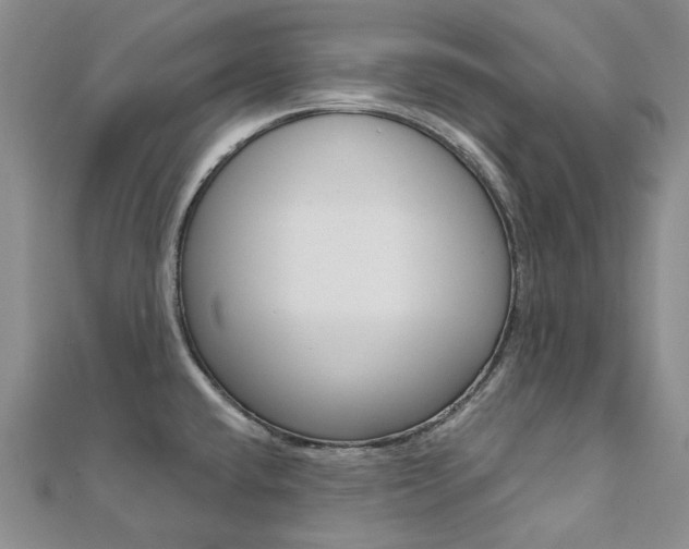 X0000112061432200908041001