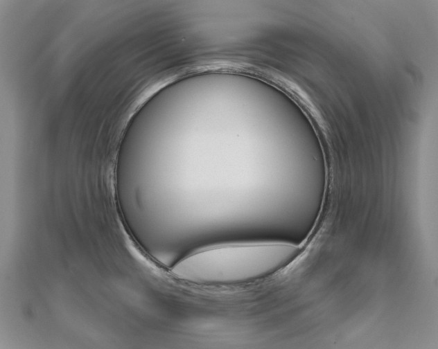X0000112061433200908041001