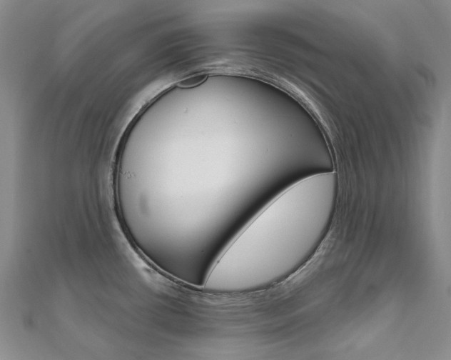 X0000112061434200908041001