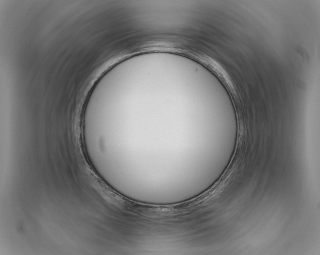 X0000112061435200908041001