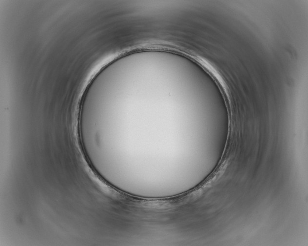 X0000112061437200908041001