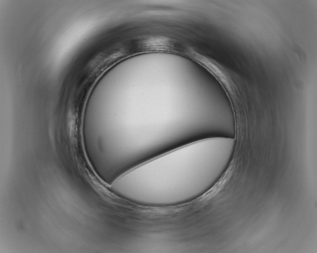 X0000112061438200908041001