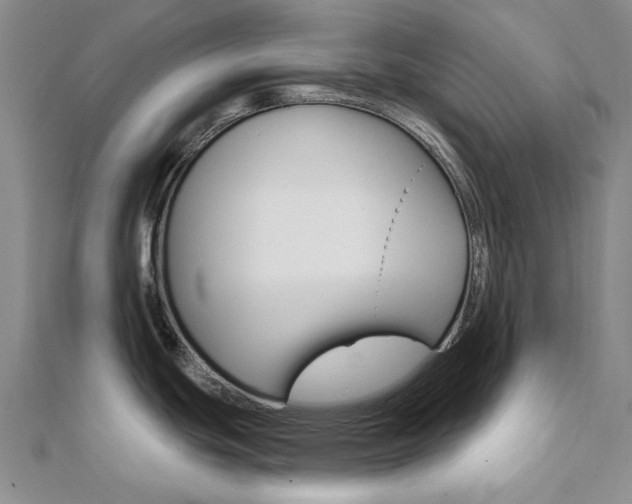 X0000112061439200908041001
