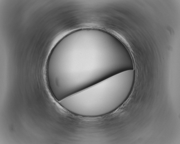 X0000112061440200908041001