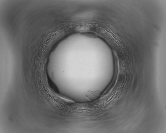 X0000112061441200908041001
