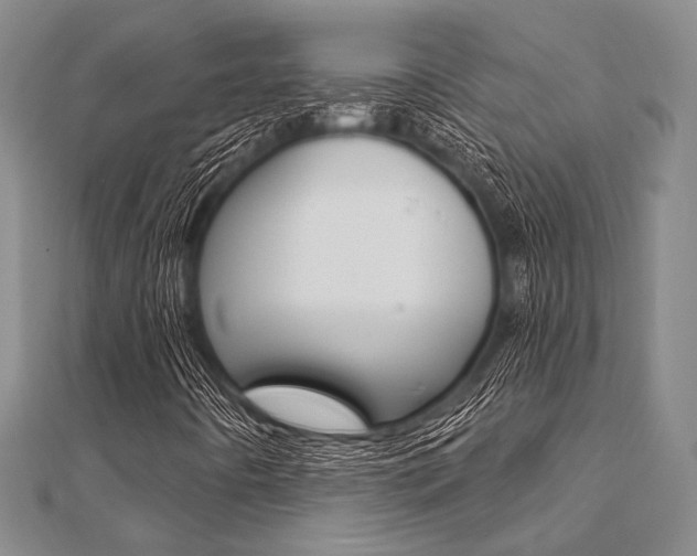 X0000112061442200908041001