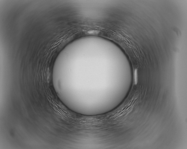 X0000112061443200908041001