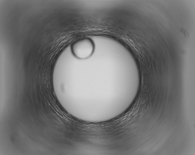 X0000112061444200908041001
