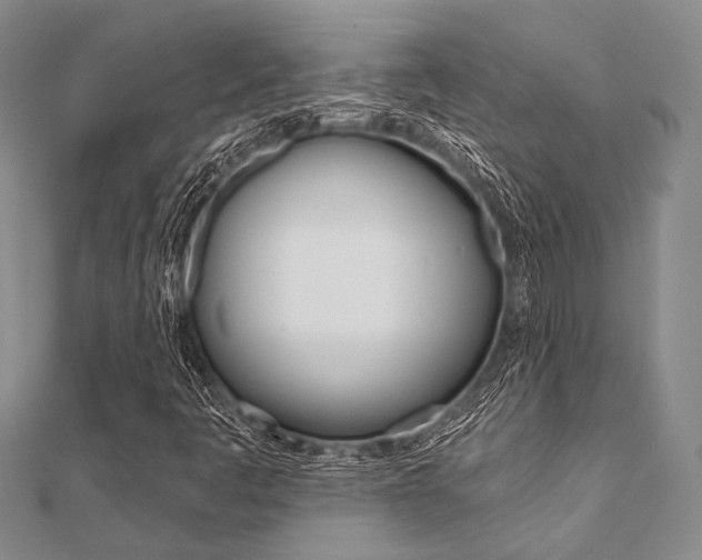 X0000112061445200908041001