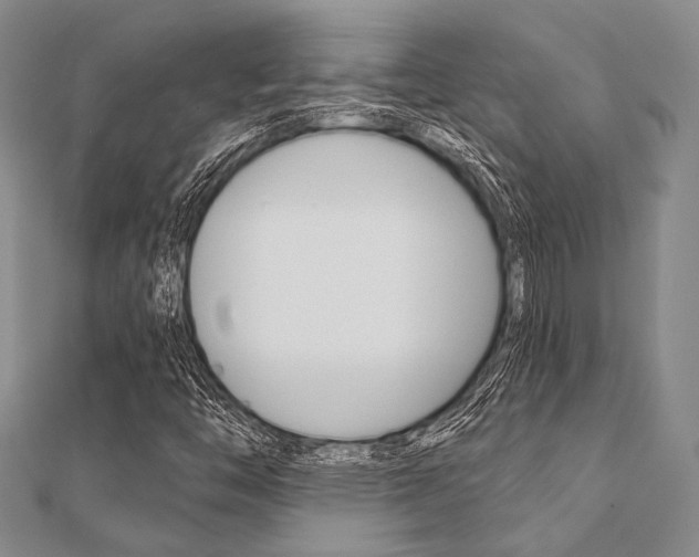 X0000112061446200908041001
