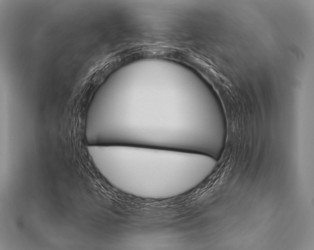 X0000112061447200908041001