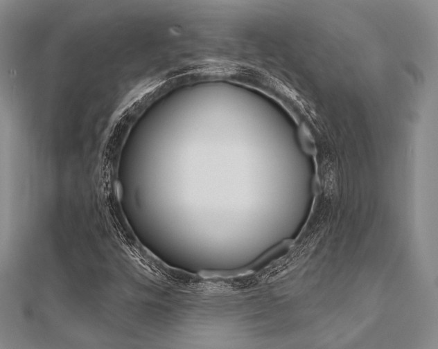 X0000112061448200908041001