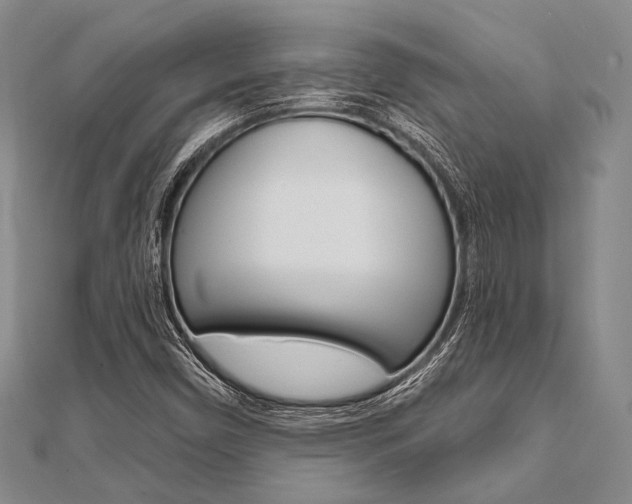 X0000112061450200908041001
