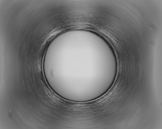 X0000112061451200908041001